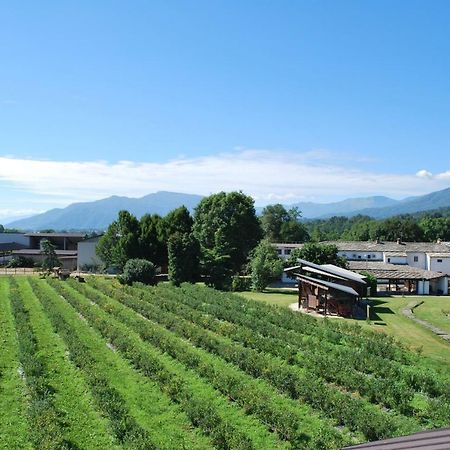 Agriturismo Il Frutto Permesso Bibiana Экстерьер фото