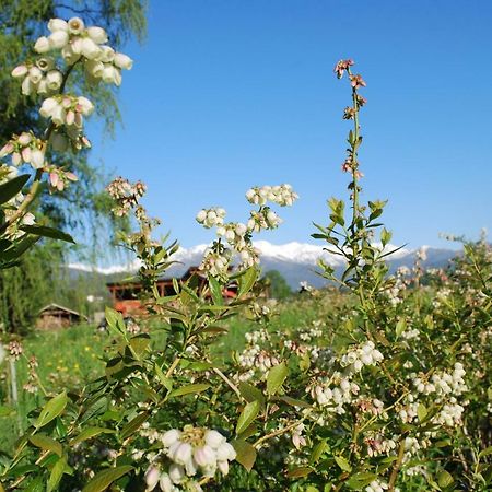 Agriturismo Il Frutto Permesso Bibiana Экстерьер фото