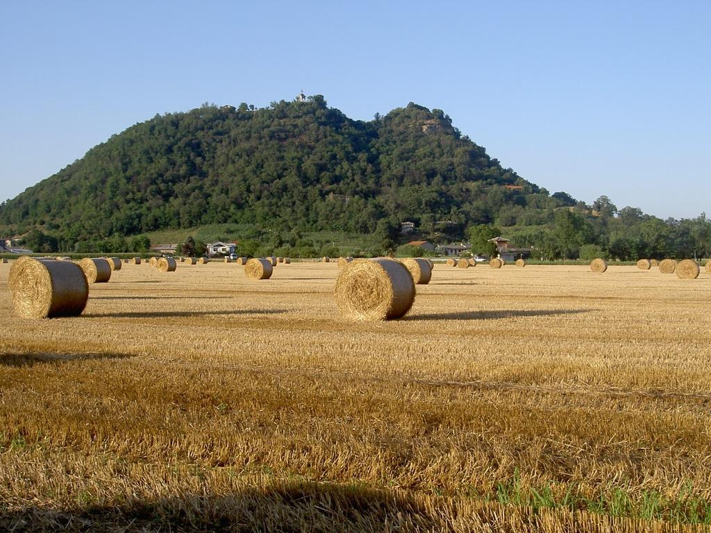 Agriturismo Il Frutto Permesso Bibiana Экстерьер фото