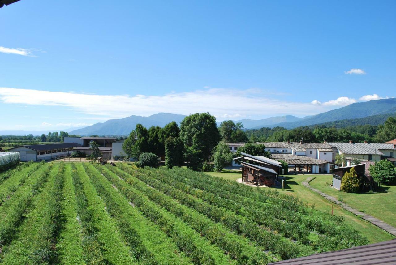 Agriturismo Il Frutto Permesso Bibiana Экстерьер фото