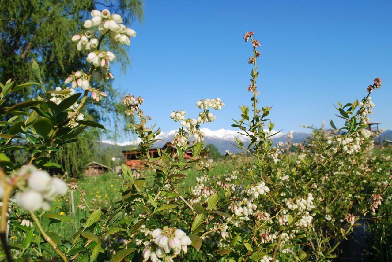 Agriturismo Il Frutto Permesso Bibiana Экстерьер фото