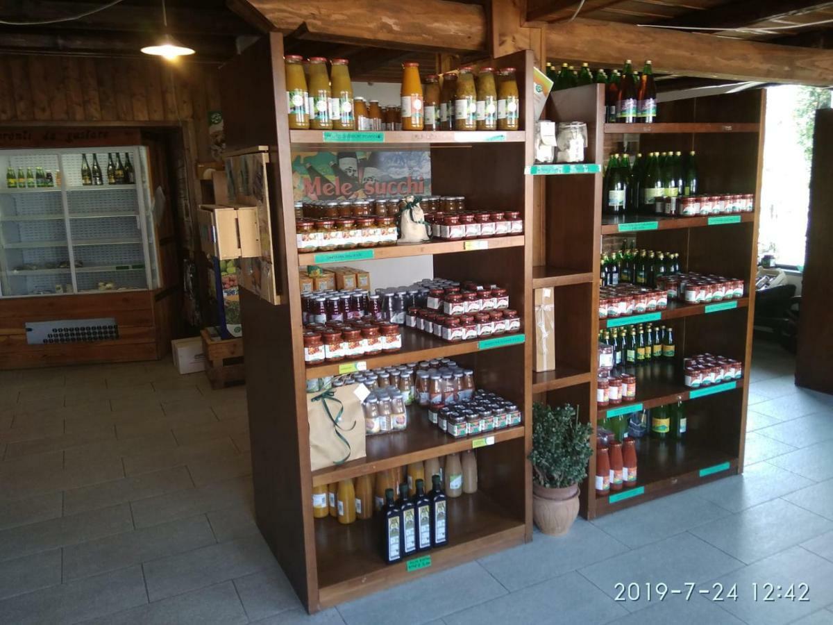 Agriturismo Il Frutto Permesso Bibiana Экстерьер фото